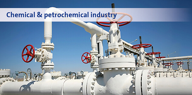 Chemical & petrochemical industry